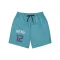 Charlotte Hornets Antonio Reeves Purple   Teal  Unisex Shorts