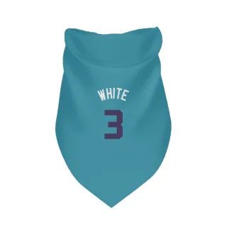 Charlotte Hornets Coby White Purple   Teal  Dog & Cat Pet Bandana