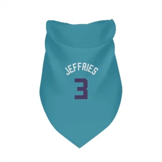 Charlotte Hornets DaQuan Jeffries Purple   Teal  Dog & Cat Pet Bandana