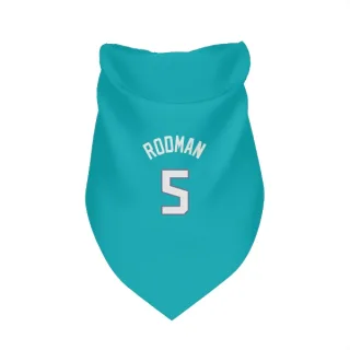 Charlotte Hornets DJ Rodman Teal  Dog & Cat Pet Bandana