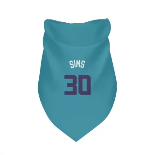 Charlotte Hornets Jaylen Sims Purple   Teal  Dog & Cat Pet Bandana