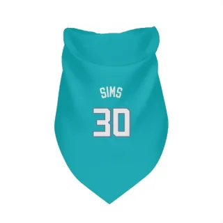 Charlotte Hornets Jaylen Sims Teal  Dog & Cat Pet Bandana