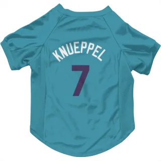 Charlotte Hornets Kon Knueppel Purple   Teal  Dog & Cat Pet Jersey