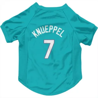 Charlotte Hornets Kon Knueppel Teal  Dog & Cat Pet Jersey