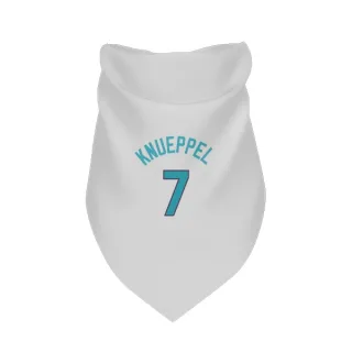 Charlotte Hornets Kon Knueppel White  Dog & Cat Pet Bandana