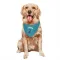 Charlotte Hornets Larry Johnson Purple   Teal  Dog & Cat Pet Bandana