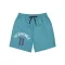 Charlotte Hornets Ryan Kalkbrenner Purple   Teal  Unisex Shorts